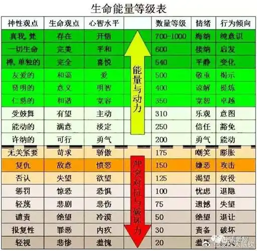 声音状态和行为状态美国诺贝尔奖科学团队与心理学博士霍金斯美国的