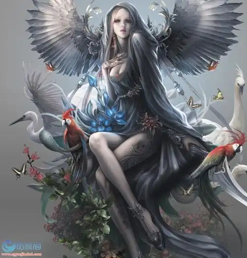 插画设计3d天使人物合集精美壁纸338p342m