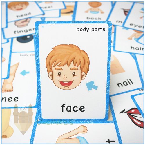 五感身体部位body part英语闪卡片幼儿童启蒙小学教师具拼读双语