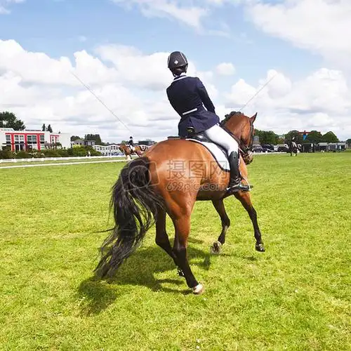 一个骑马人的背影