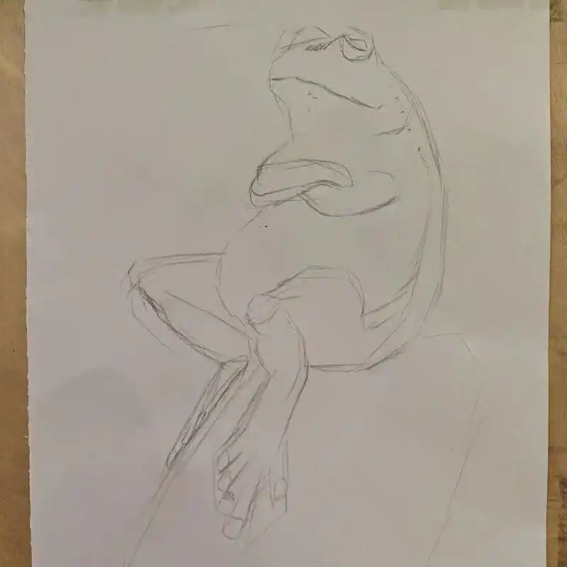 素描 #画画 #美术 #青蛙 #绘画 - 抖音