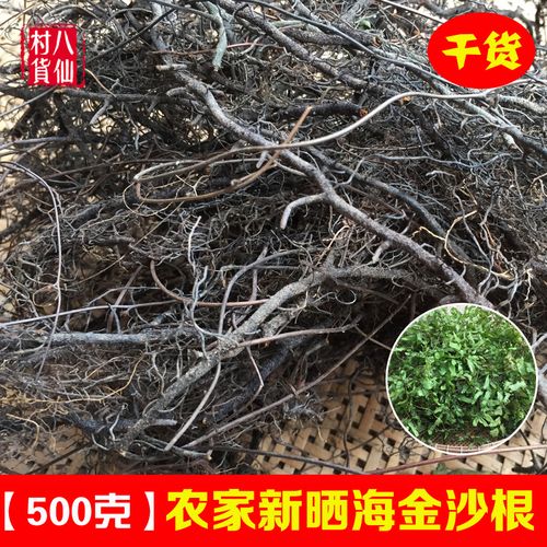农家新晒海金沙纯根 中草药金沙藤根 新鲜乱头发铁蜈蚣铁脚蜈蚣根