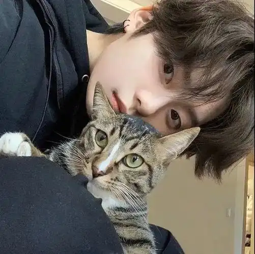 头像| 容易招桃花的海王专属男头像渣男 - 知乎