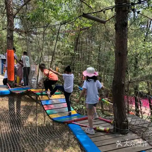 松鼠部落森林假日乐园图片-北京儿童主题乐园-大众点评网