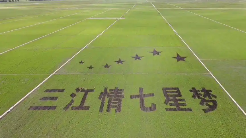 航拍黑龙江省七星农场万亩大地号