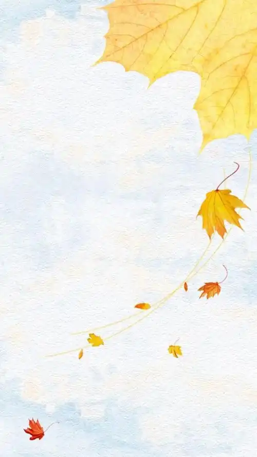 壁纸丨秋天色系壁纸!