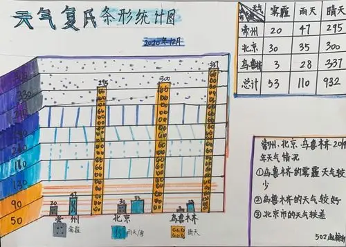 五上-我眼中的复式条形统计图