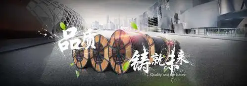 哈尔滨兴业电线电缆有限公司产品宣传第4图