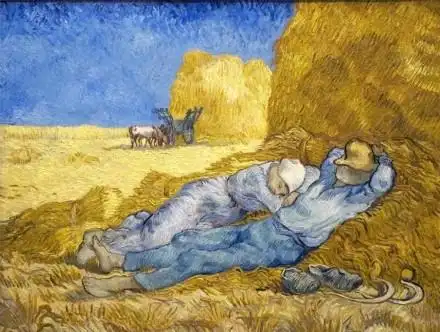 一起欣赏梵高大师的麦田守望者系列油画作品