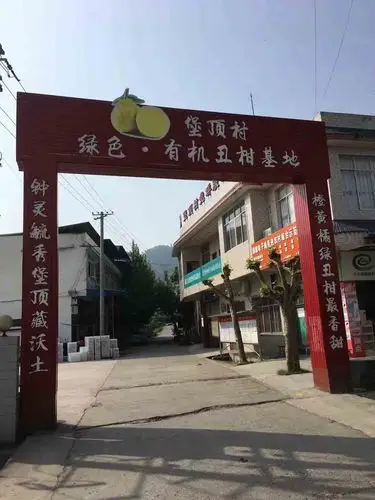 星农村果园  掌柜:天黑路更滑