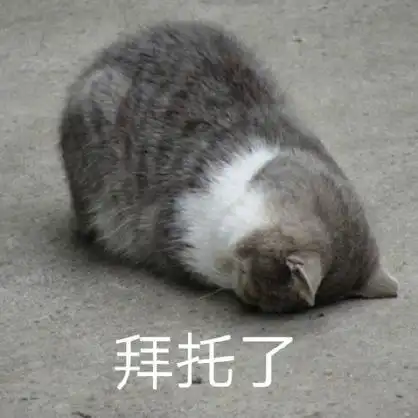 萌宠gif猫星人gif拜托了gif请求gif呆萌gif可爱gif