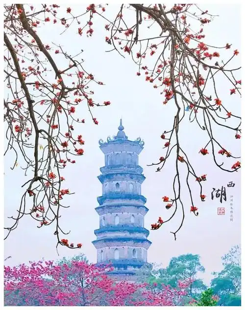 快看木棉花开的惠州怎么生得这么美