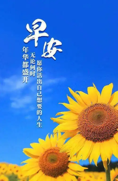 早上好正能量语录最新版 漂亮早上好问候语祝福表情图片