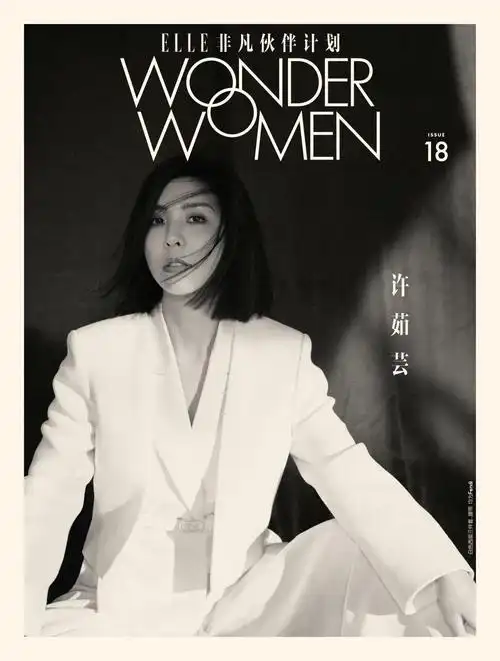 许茹芸资料 :情歌留给勇敢的人