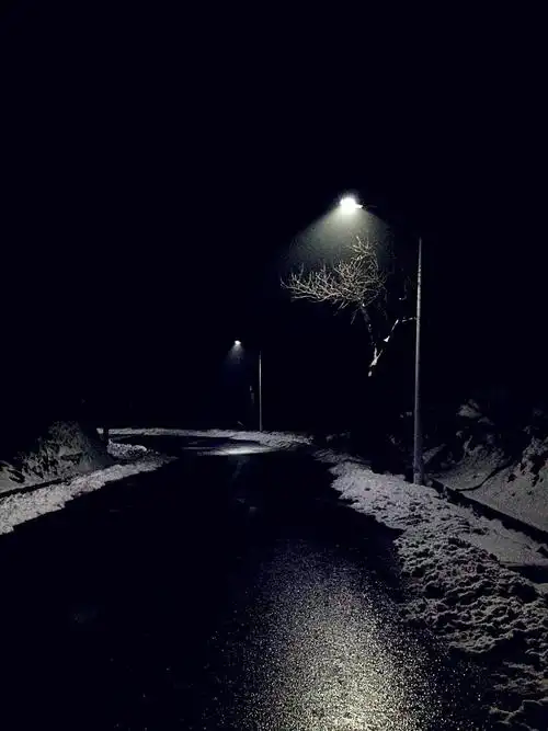 帝都的第二场大雪 今年冬天真是冷得又早又凛冽 这样安静的夜晚 让人