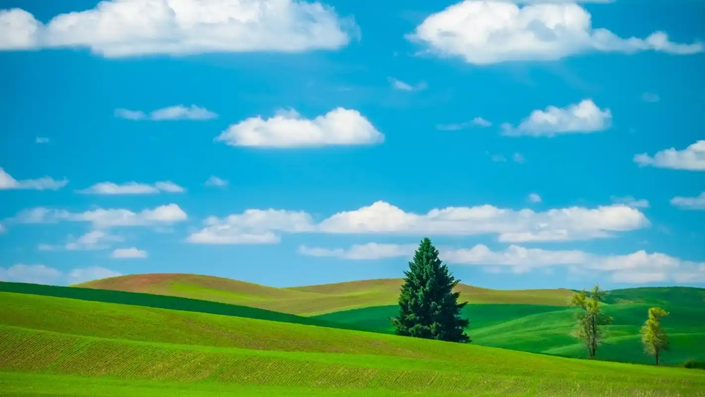 蓝天绿草地清新护眼高清桌面壁纸下载