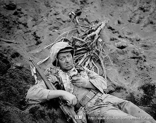 sein的相册-非艺术的战争影像