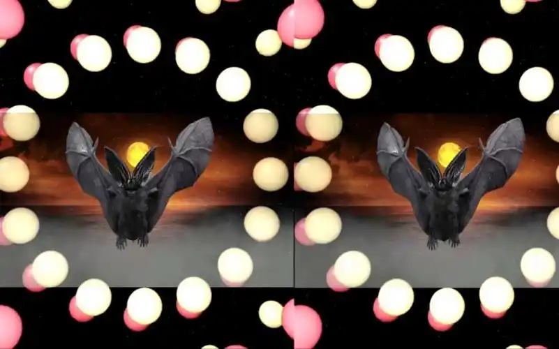 裸眼3d平行眼,体验过身临其境遨游其中的平行眼效果吗?