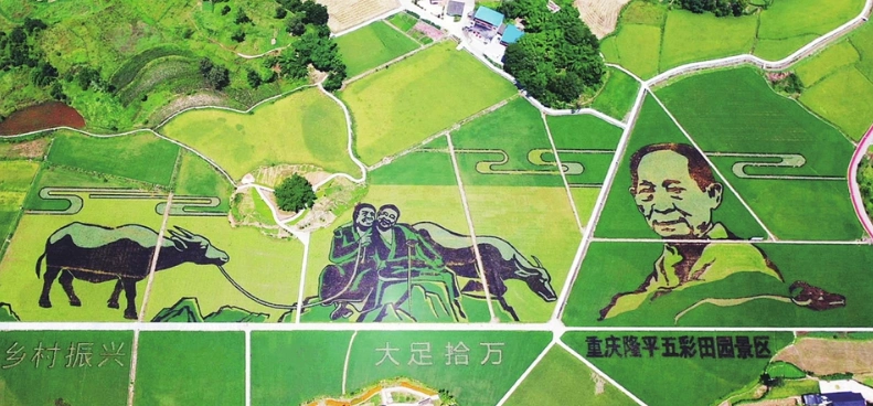 重庆大足在城乡融合发展上先行示范