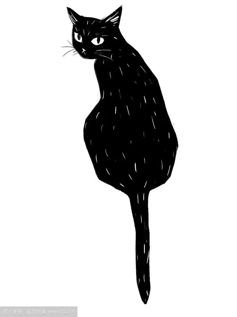 蹲坐的黑猫背影插图手绘