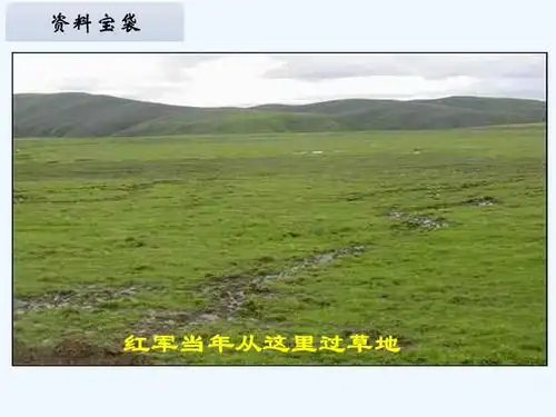 语文北师大版六年级下册金色的鱼钩pptx