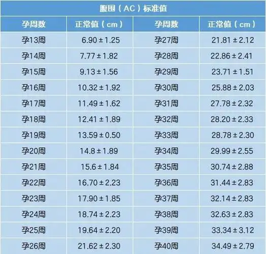14,头围(hc):头围指胎儿头部从脸到后脑的最大周长.