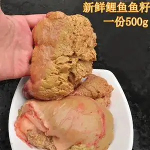 新鲜鱼籽 鲤鱼籽 鱼籽新鲜 鱼蛋现杀鲜活淡水鱼子鱼卵鱼泡杂500g