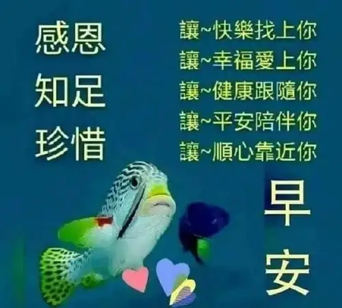 最美早上好问候语简短一句话,早安带字祝福语图片温馨!