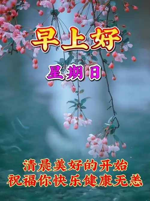 周日早上好温馨暖心早安祝福图片语问候语