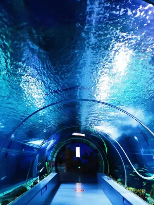 "游海洋公园 悟海洋文化 享研学之乐"2017级5班海洋馆研学之旅