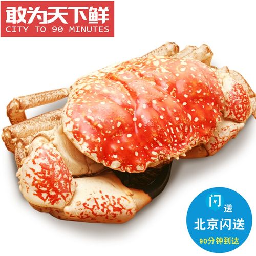 5斤起拍 5-15斤可拍 鲜活澳洲皇帝蟹 巨大拟滨蟹 活蟹 海鲜水产