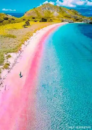 在这里,长达5000米左右的海岸线,入眼全是粉色,沙滩水清沙幼,踩上去凉