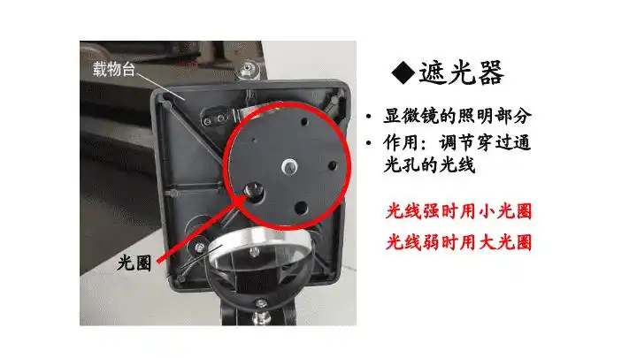 2019秋七年级生物上册211练习使用显微镜课件3新人教版