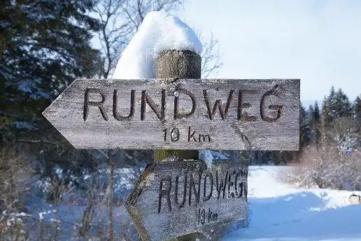 簿, 木材, 平展地, 树, 雪, 白色, 阳光充足(directory, wood, flatly