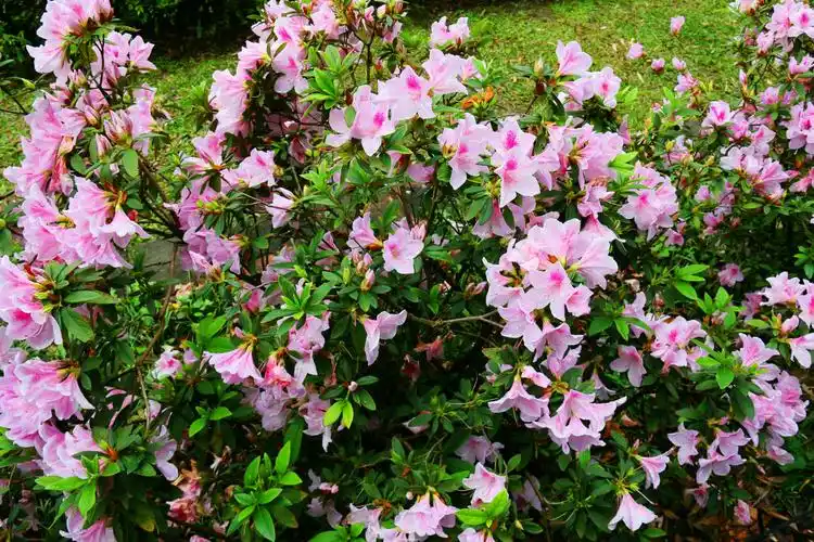 台湾环岛游记之一 台北