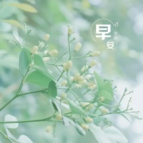 早安清新唯美生活随景,图片大全,高清,图库-回车桌面