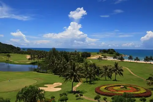 金泰南燕湾:代言国家湾区 聚焦星光盛事