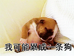 互联网公关初解