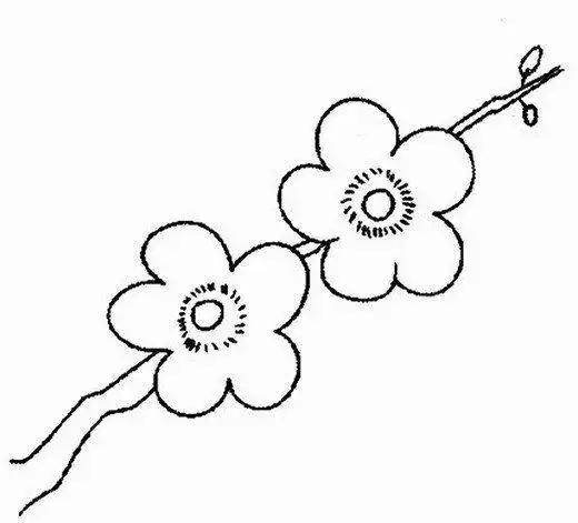 漂亮的梅花简笔画