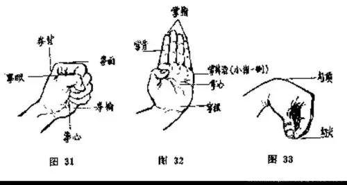 小学"停课不停学"之教学篇——李亚娟老师带你走进体育课堂《五步拳》