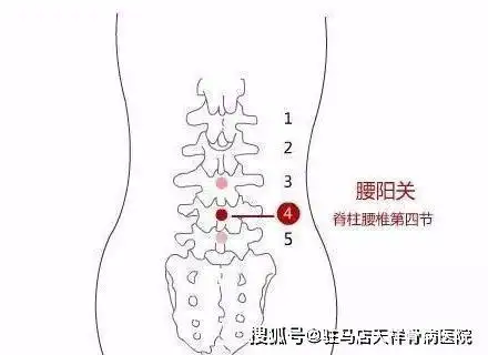 老张家膏贴教你按摩手法轻松缓解劳累导致的腰酸背痛