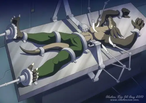 【图】请问,这张图出自那个动漫?求大神解