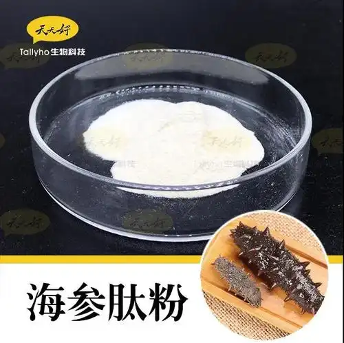 海参肽的营养价值有哪些