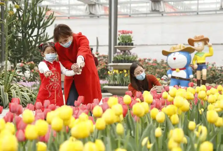 2月14日,游客在河北省邢台市南和农业嘉年华欣赏郁金香.