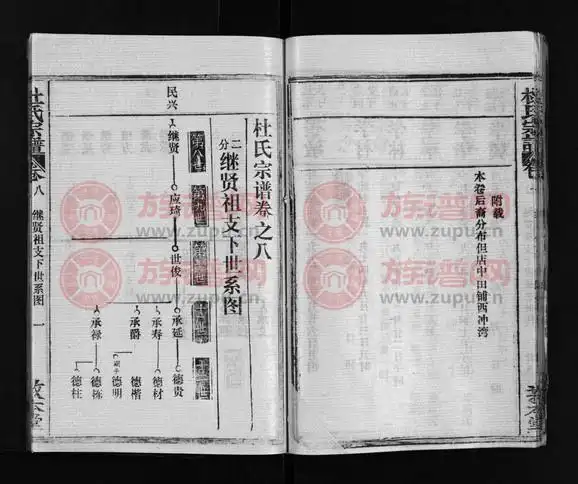 杜氏宗谱40卷首4卷第9本