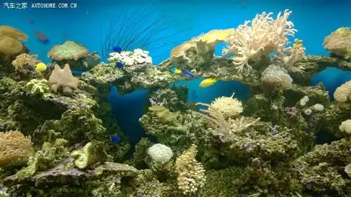 发现湛江之美(海滨公园-海洋大学-海鲜市场-海珊瑚海鲜店)