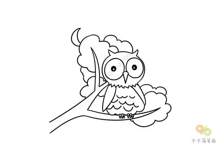 夜行者猫头鹰简笔画
