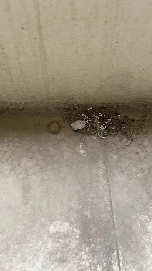 救救孩子这地上白色的是虫卵吗