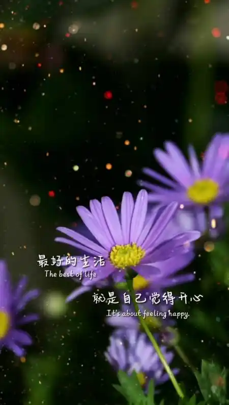 最好的生活就是自己觉得开心有些事情一笑而过就好