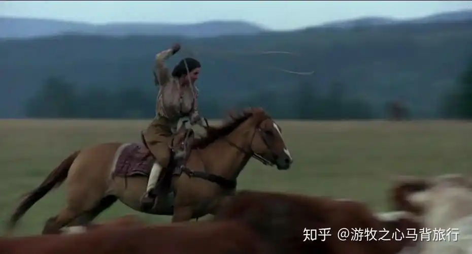 那些电影中骑马的场景与之共鸣心之所向欧美篇